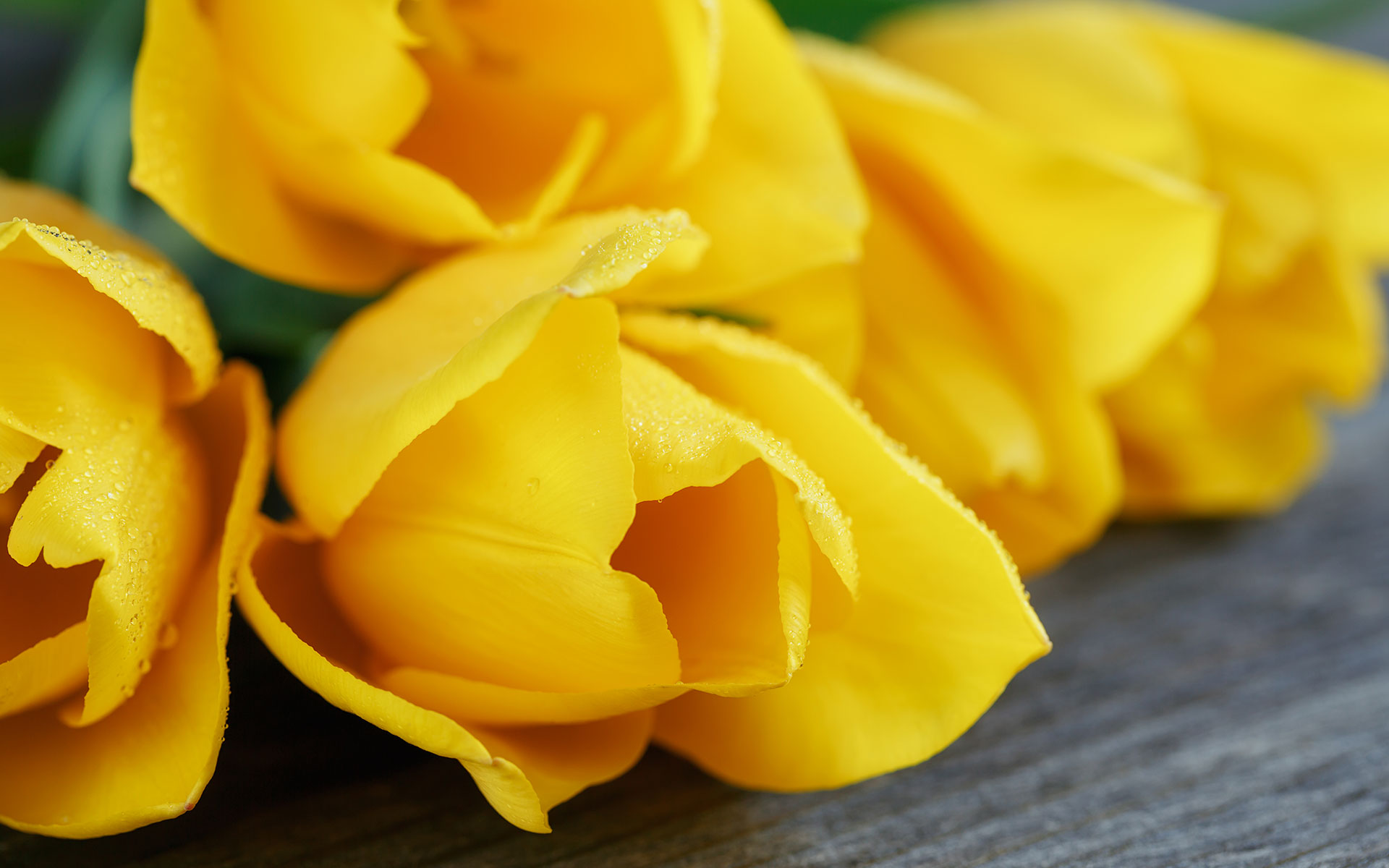 Pittsburgh Florist