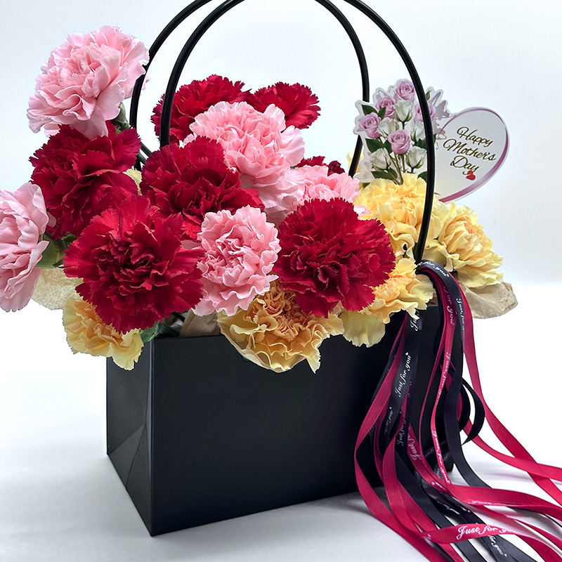 Carnation Crash Bouquet