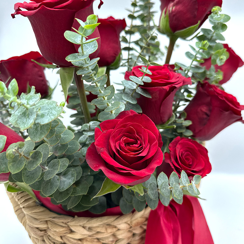 12 Stem Rose Bouquet