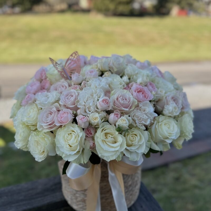 Dream Basket (oversized)